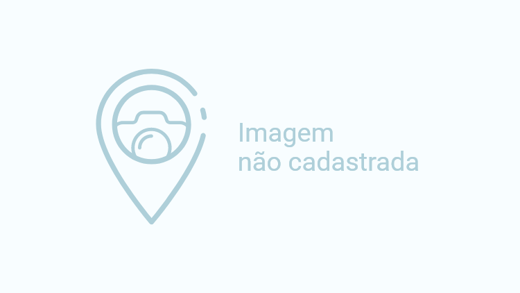 Criação de Conteúdo